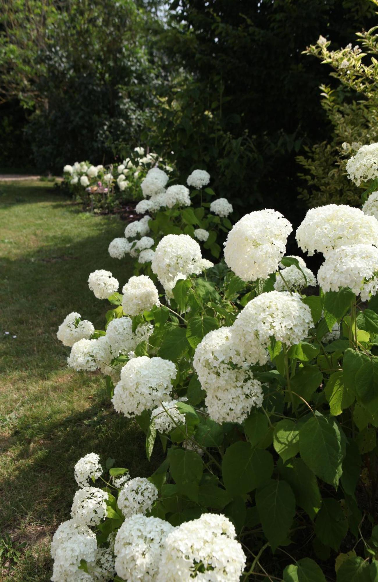 Une Maison, Un Jardin Berthenay Bagian luar foto