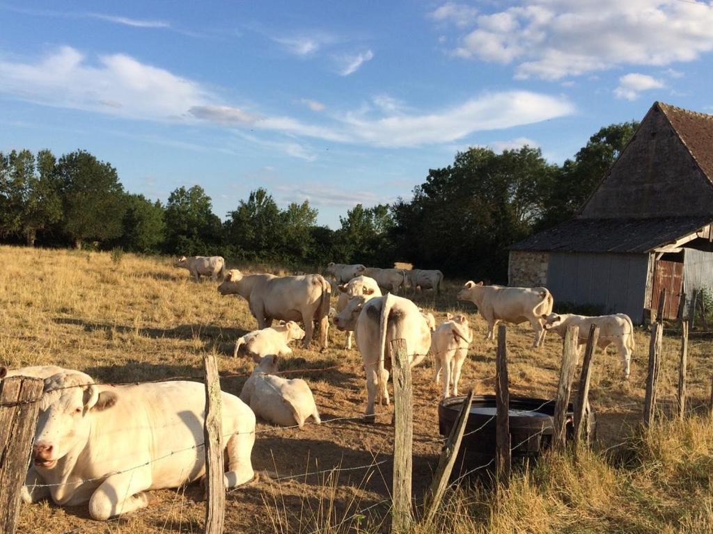 Une Maison, Un Jardin Berthenay Bagian luar foto