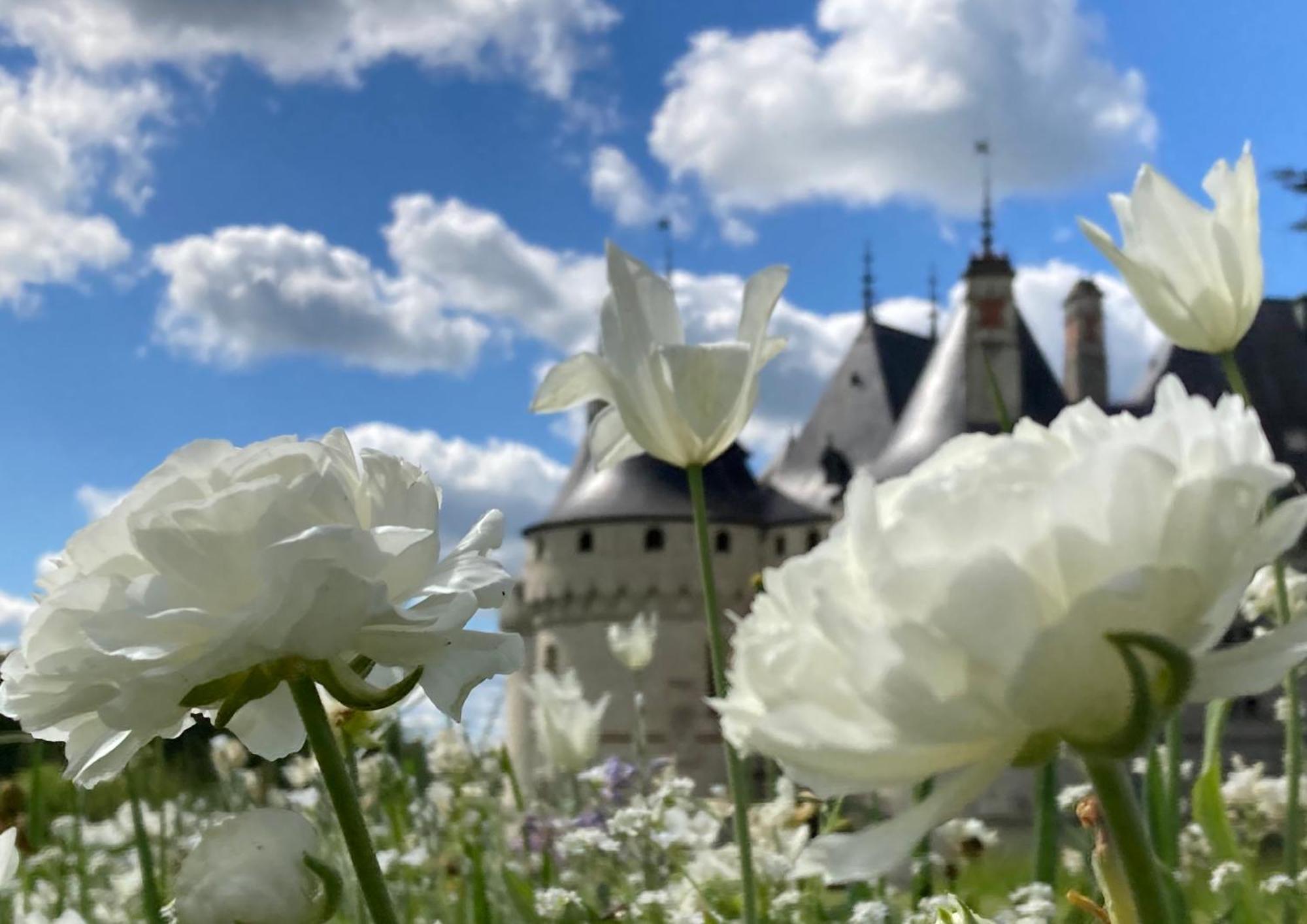 Une Maison, Un Jardin Berthenay Bagian luar foto
